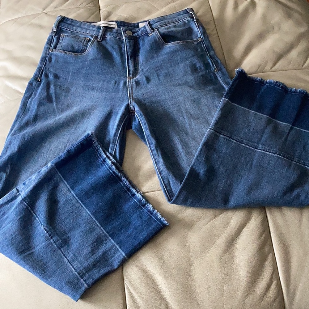 NWOT Anthropologie Pilcro and the Letterpress Jeans